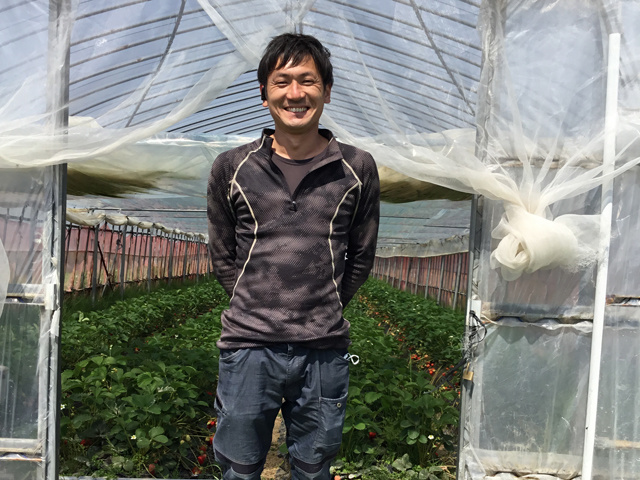 ビニールハウスの農作業の募集内容 石川県金沢市 石川の農業で働こう 石川県の 農業のお仕事 検索サイト