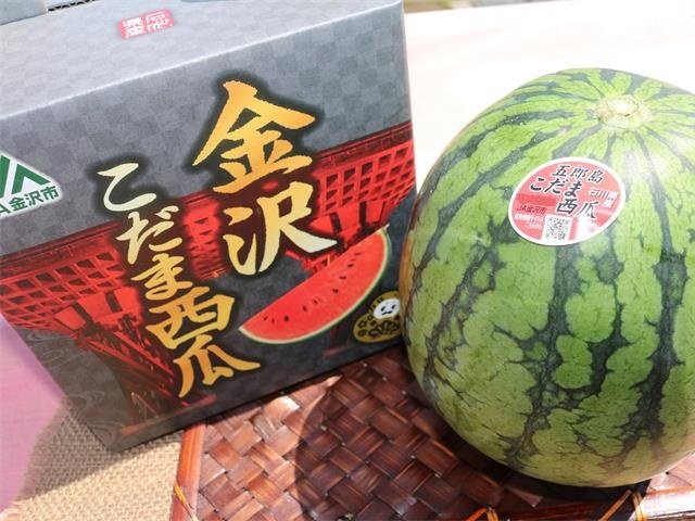 写真1
