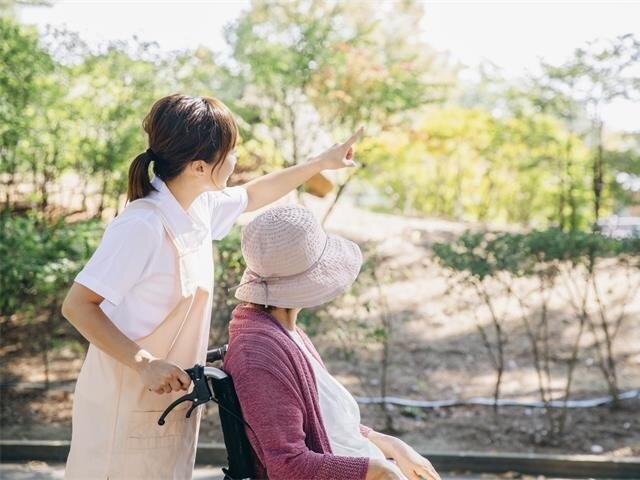 写真1