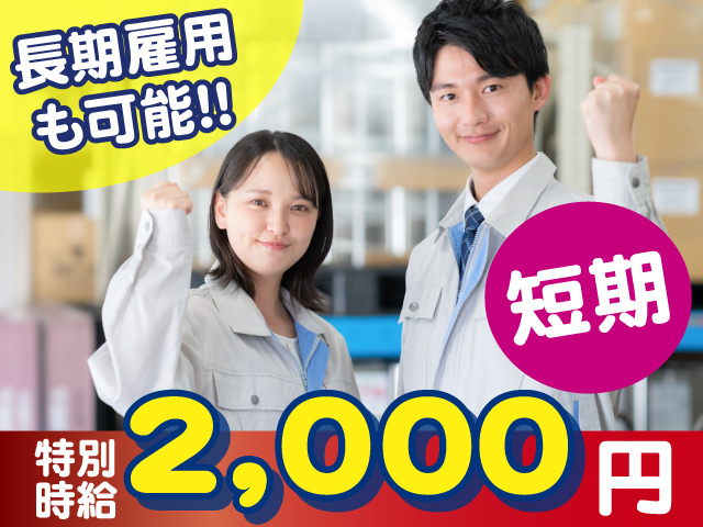 男女作業スタッフ