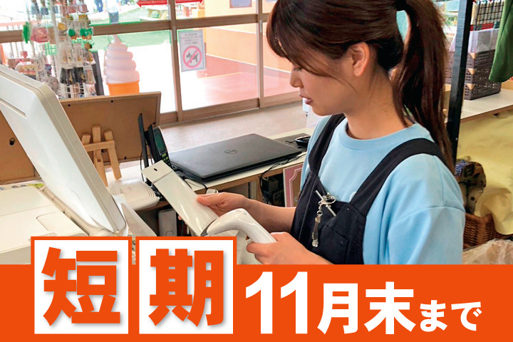 レジ打ちをする女性スタッフの写真　短期　11月末まで