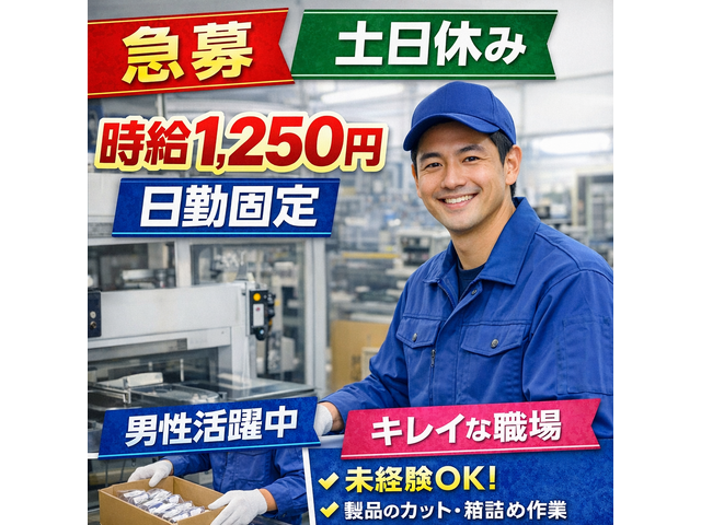 写真1