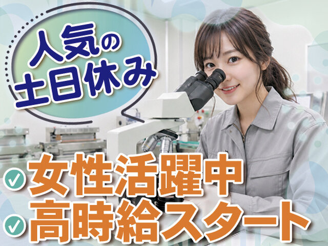 写真1