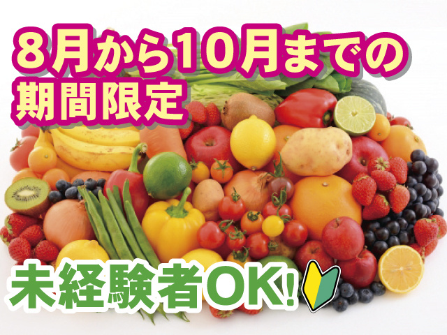 8月から10月までの期間限定 未経験者OK！