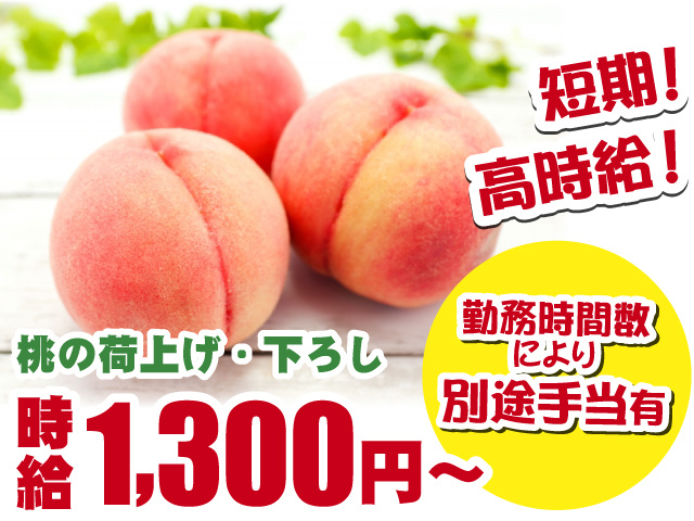 短期！高時給！　桃の荷上げ・荷下ろし　時給1,300円～　勤務時間数により別途手当あり