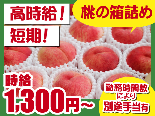 高時給！短期！　桃の箱詰め　時給1300円～　勤務時間数により別途手当有