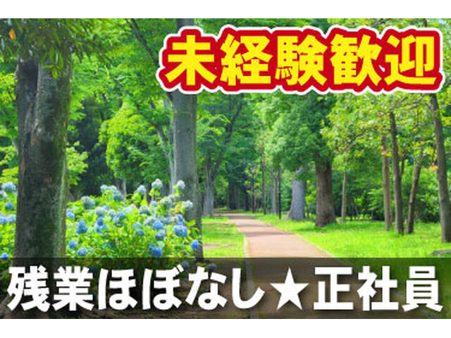 写真1