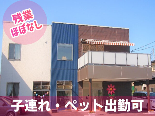 写真1