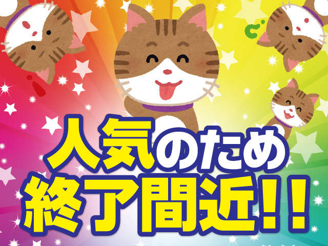 人気のため終了間近!!