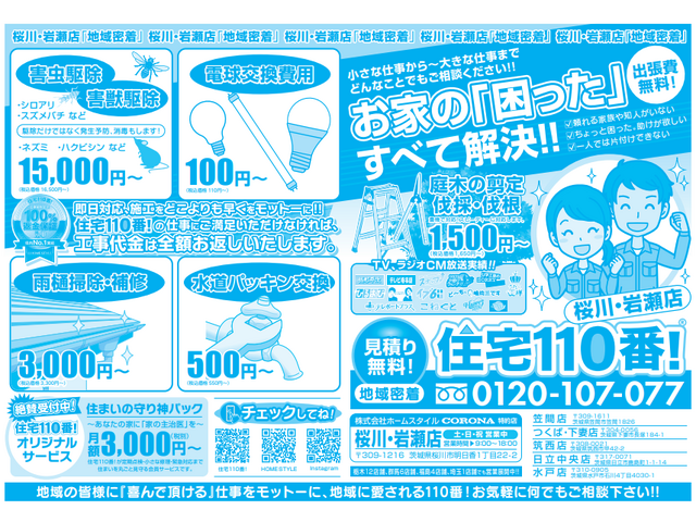 写真2