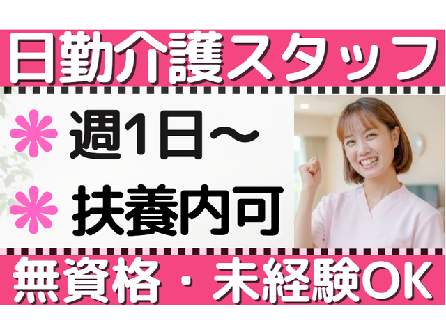 写真1