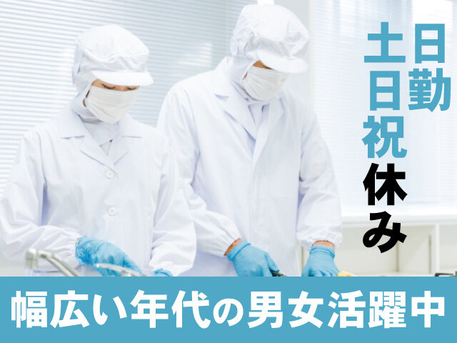 写真1