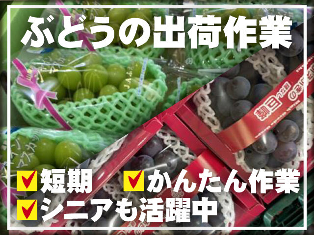 笛吹農業協同組合の求人情報を見る