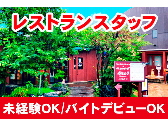写真1