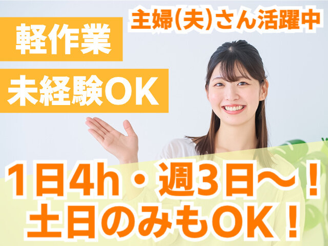 写真1