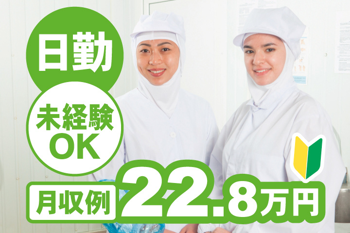 日勤　未経験OK　月収例22.8万円　初心者マーク
