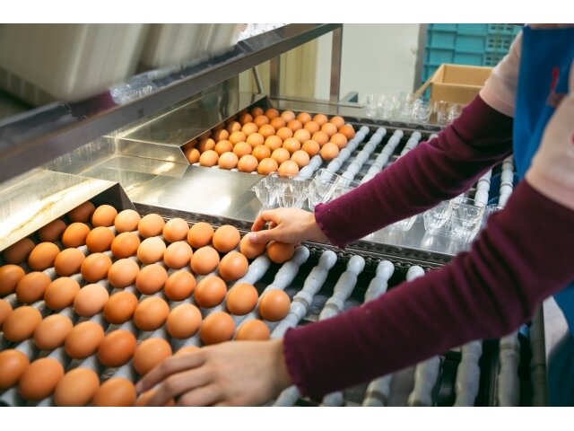 垣善フレッグ株式会社の求人情報を見る