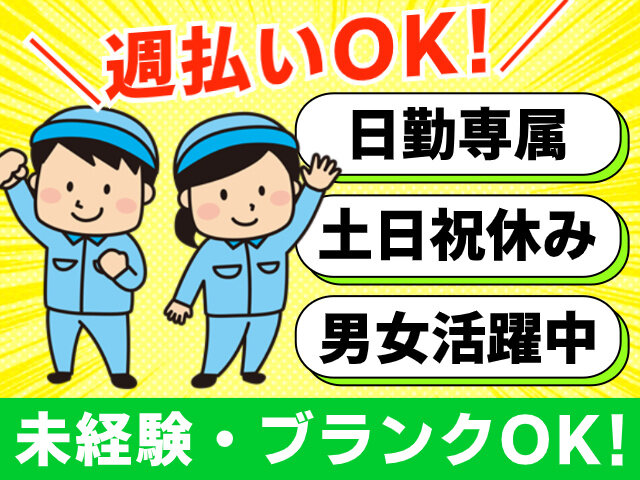 写真1