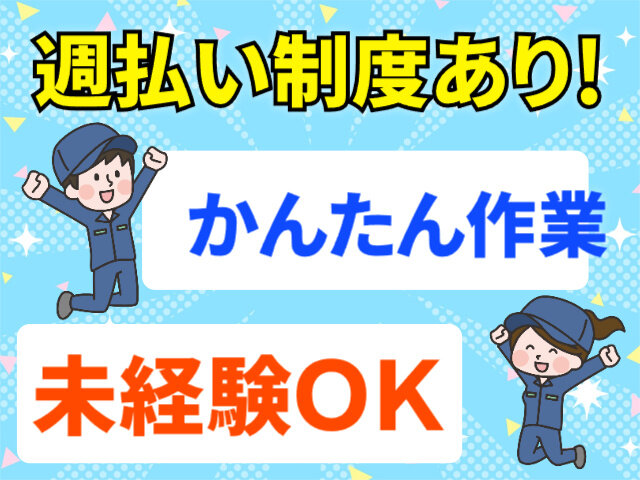 写真1