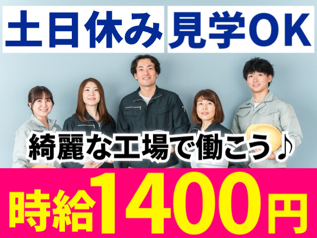 写真1