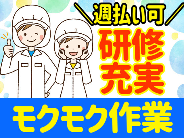 写真1