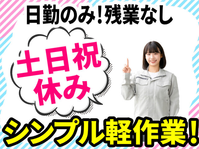 写真1