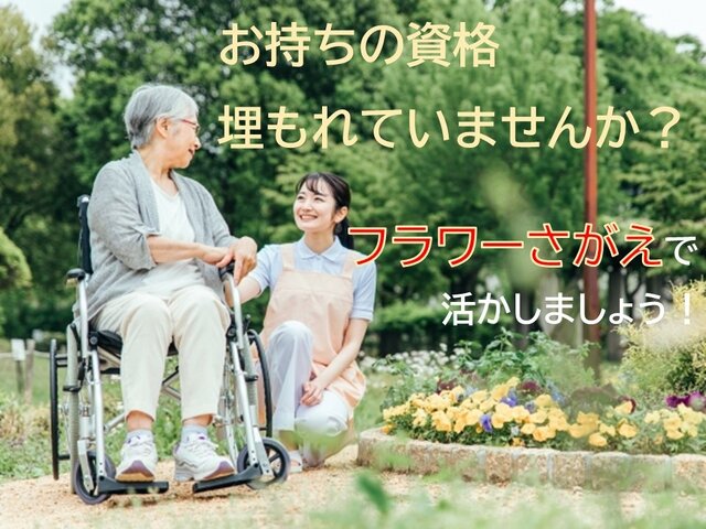 写真1