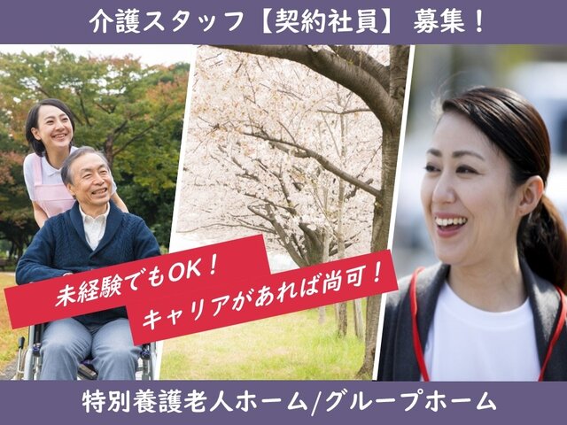 写真1