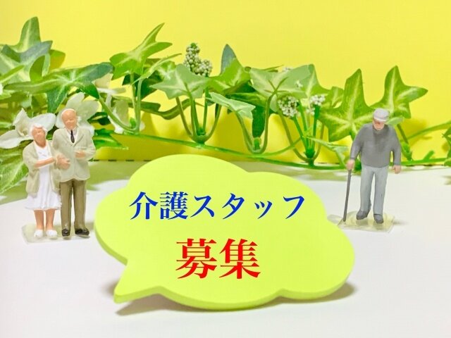写真1