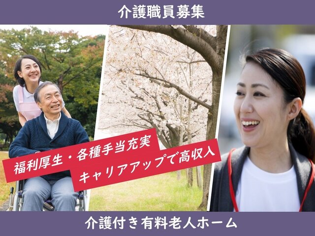 写真1