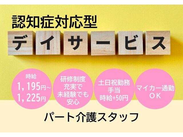 写真1