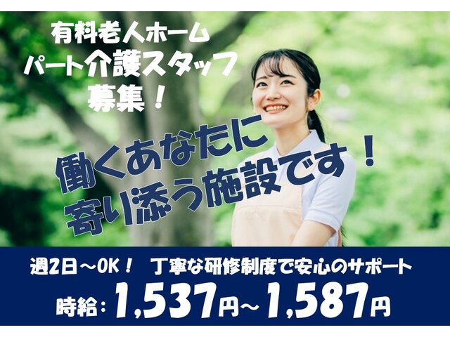 写真1