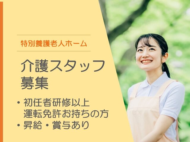 写真1