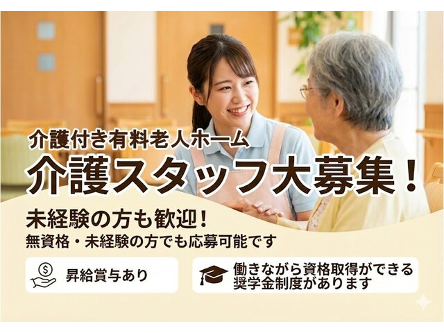 写真1