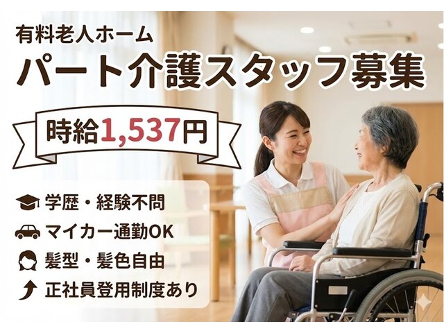 写真1