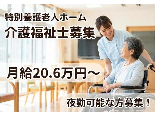 写真1