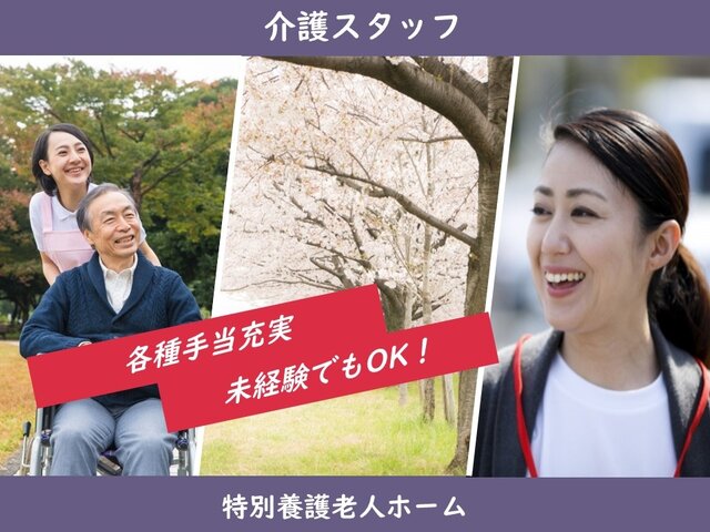 写真1