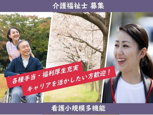 写真1