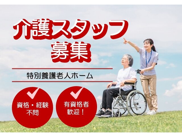 写真1