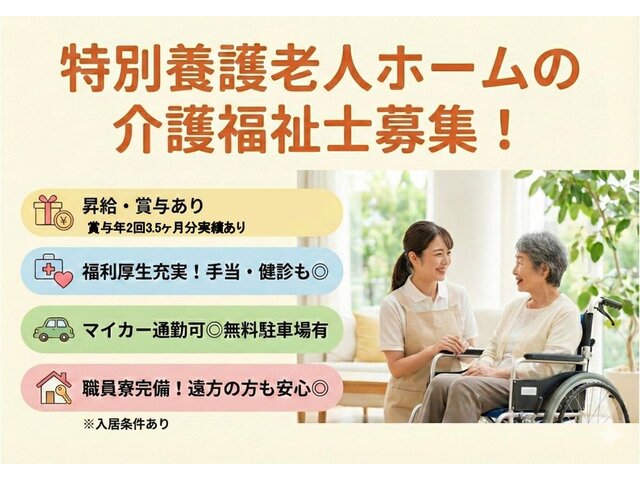 写真1