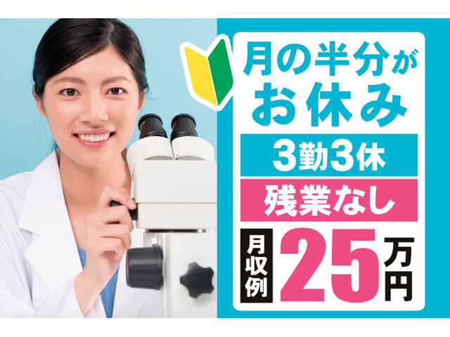 写真1
