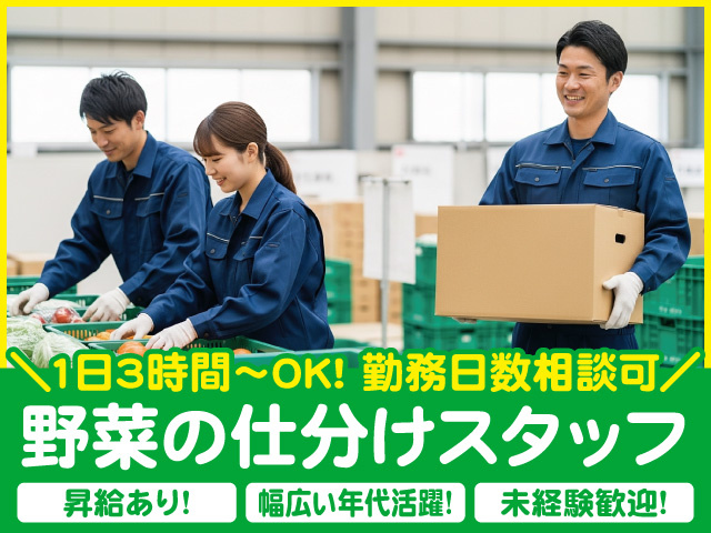 野菜の仕分け作業を行う男女の写真