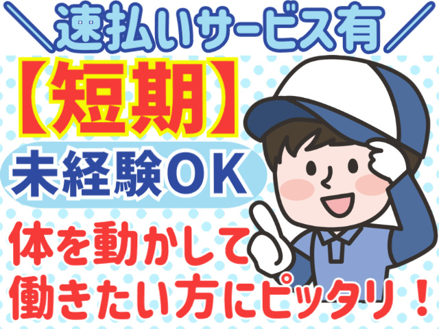 未経験OK