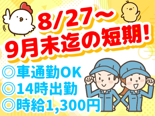 8/27～9月末迄の短期!／車通勤OK／14時出勤／時給1,300円