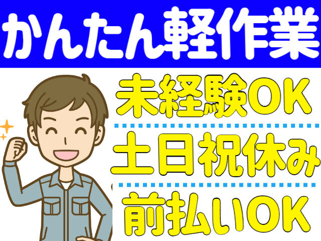写真1
