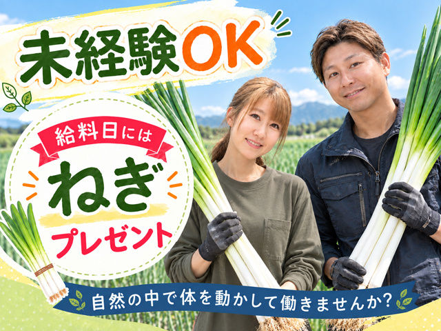 農作業スタッフ／未経験OK／給料日にはねぎプレゼント