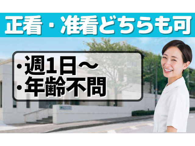 写真1