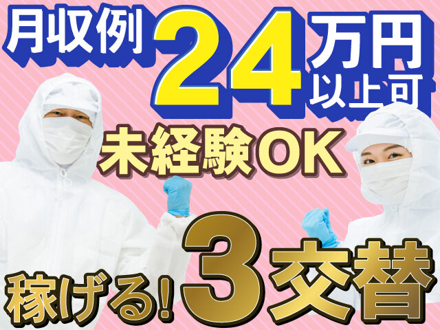 写真1
