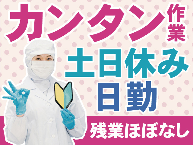 カンタン作業　土日休み　日勤　残業ほぼなし