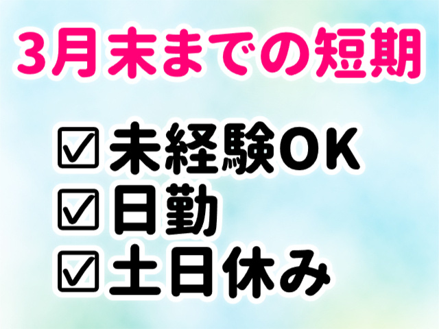 未経験OK